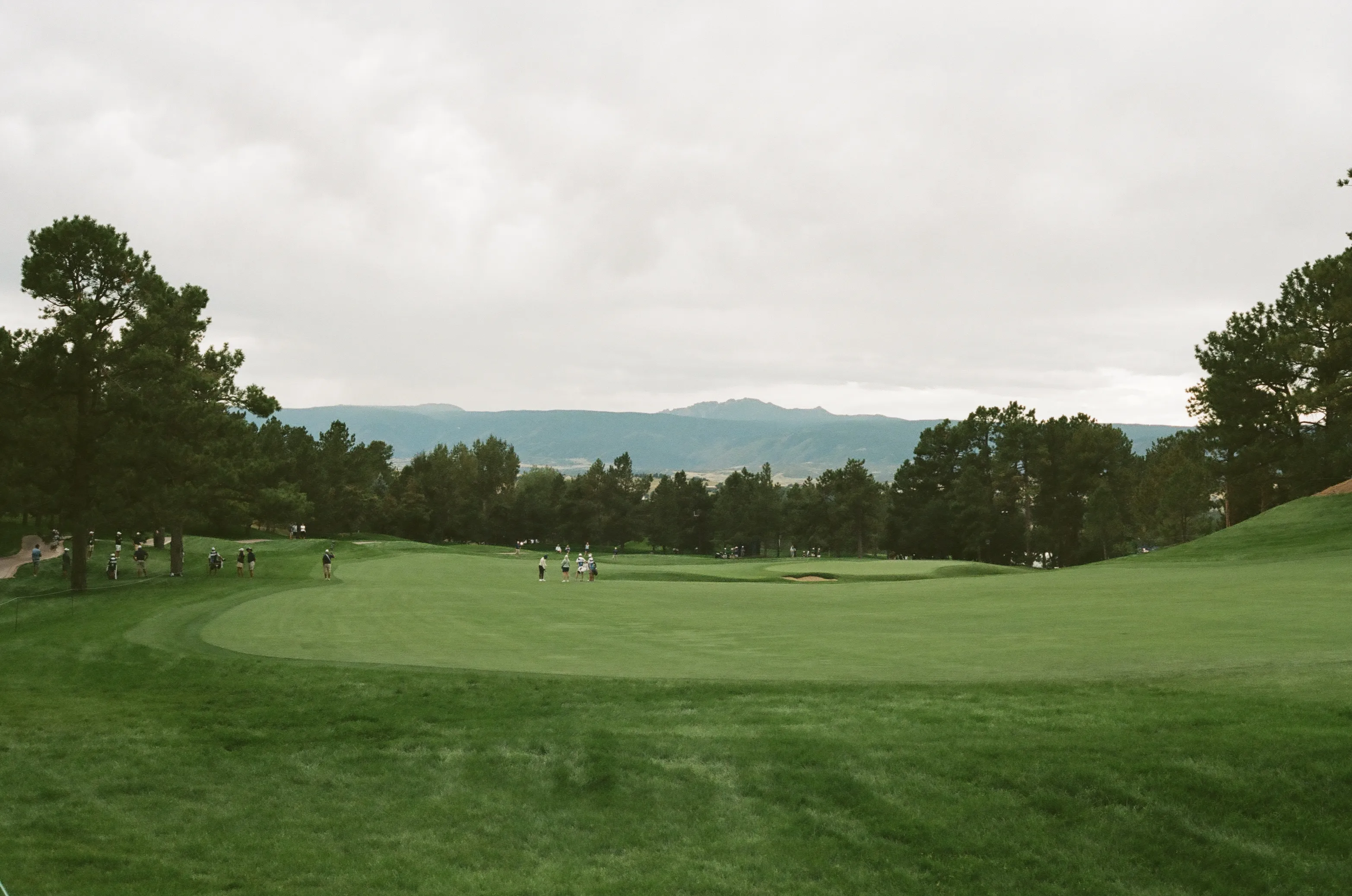 Film photograph 17 from Roll 7