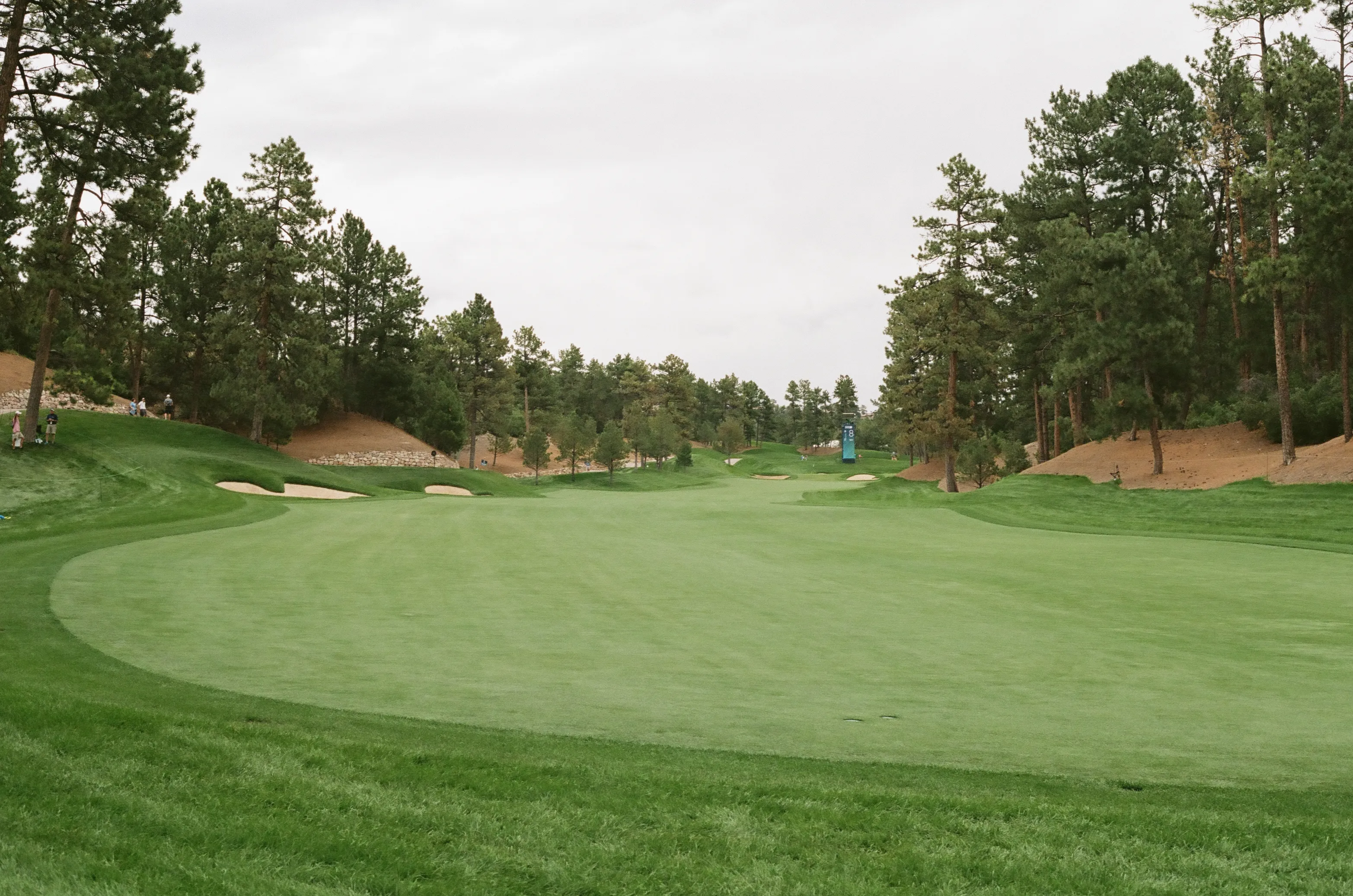 Film photograph 29 from Roll 7