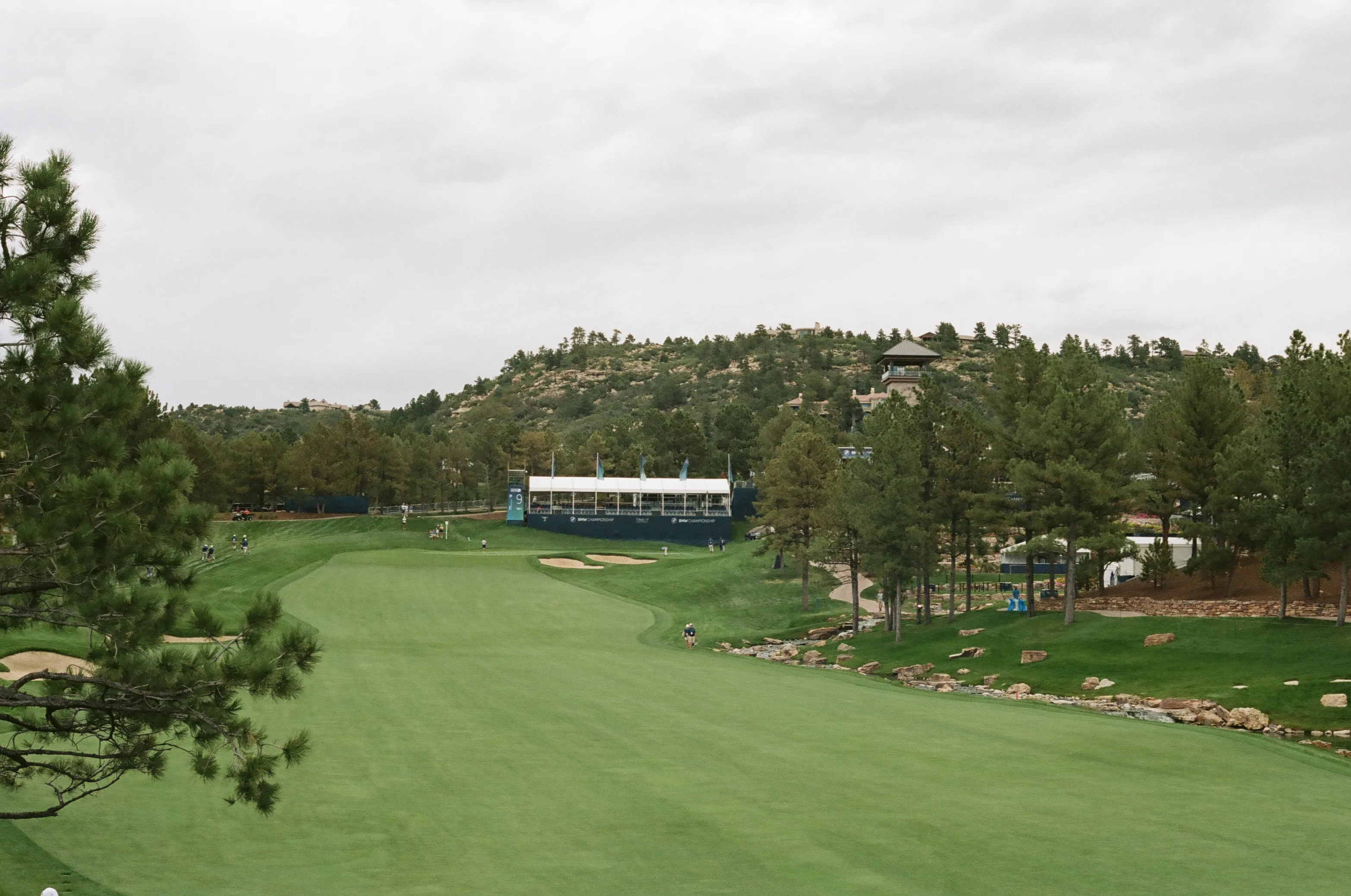 Film photograph 31 from Roll 7