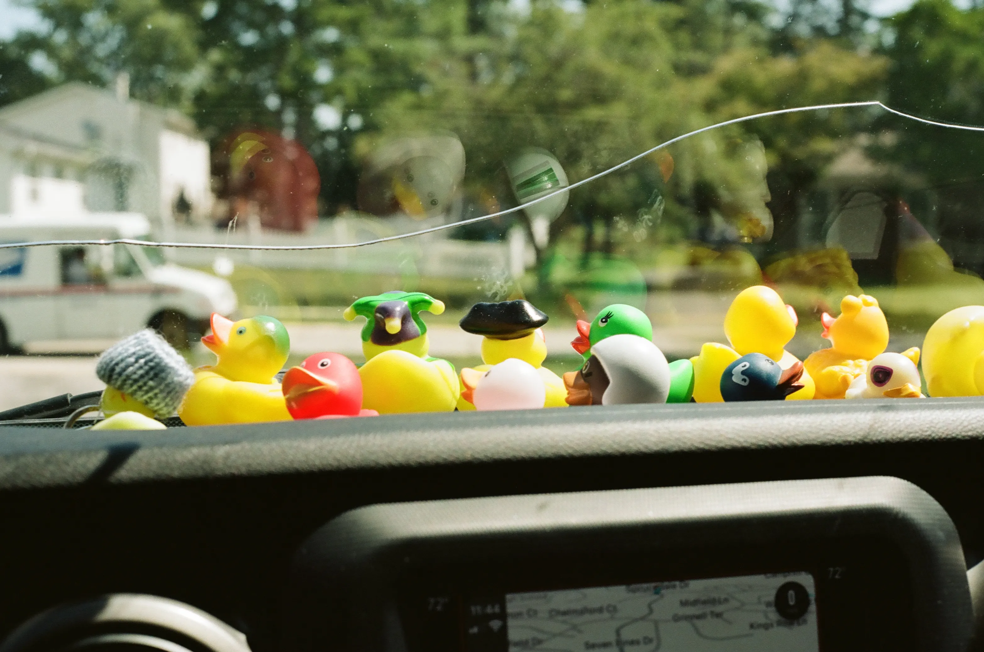 Film photograph 36 from Roll 7