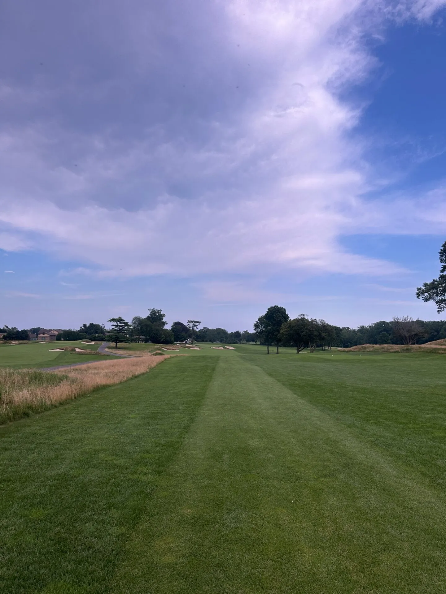 A cluster of deep bunkers guarding a green at Hollywood Golf Club, white sand contrasting with the dark green turf and mature trees behind, the restored bunkering showing Schneider's handiwork