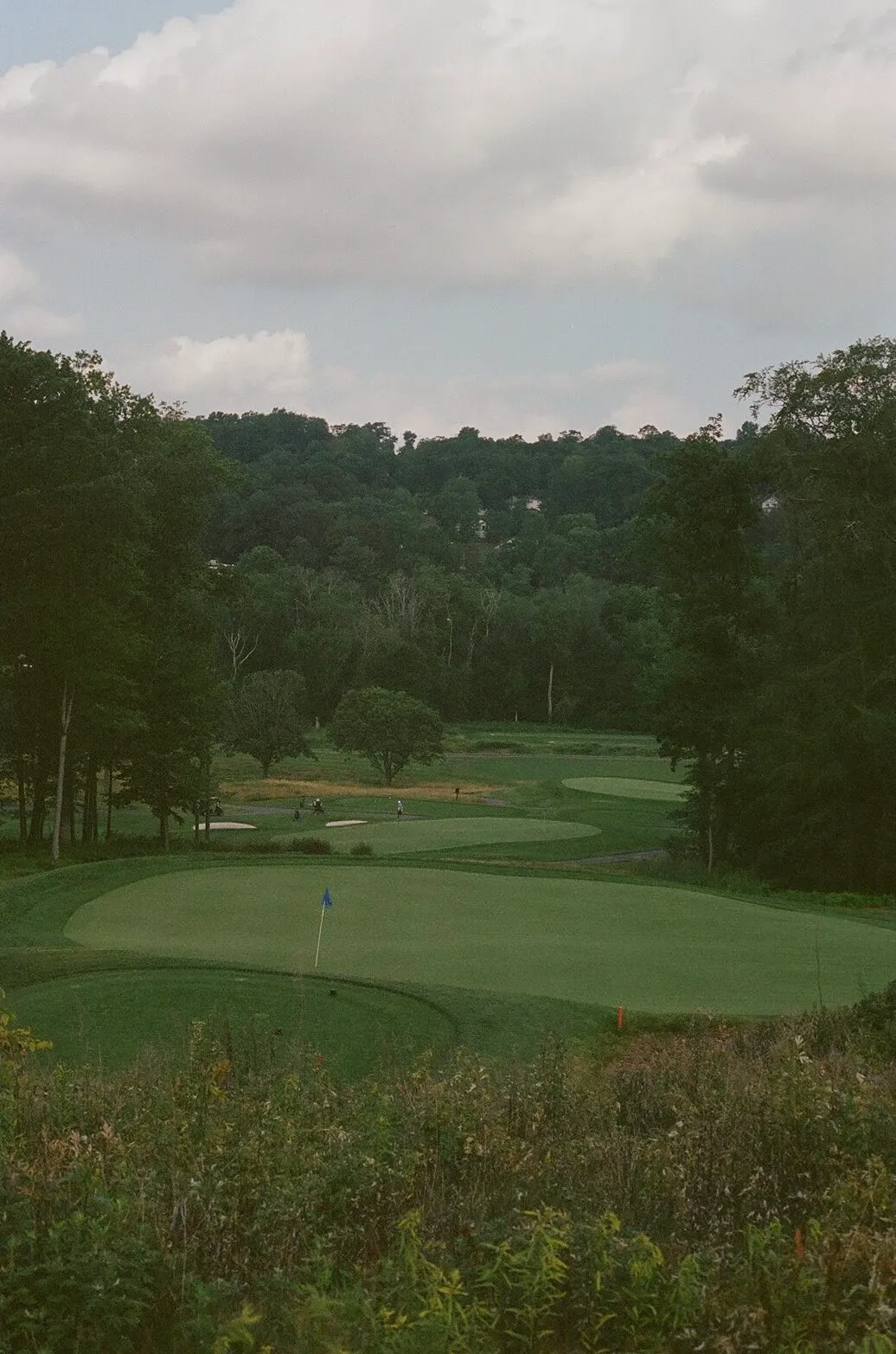 An elevated view across multiple holes at Francis A. Byrne, greens and bunkers cascading through the hillside with native fescue in the foreground