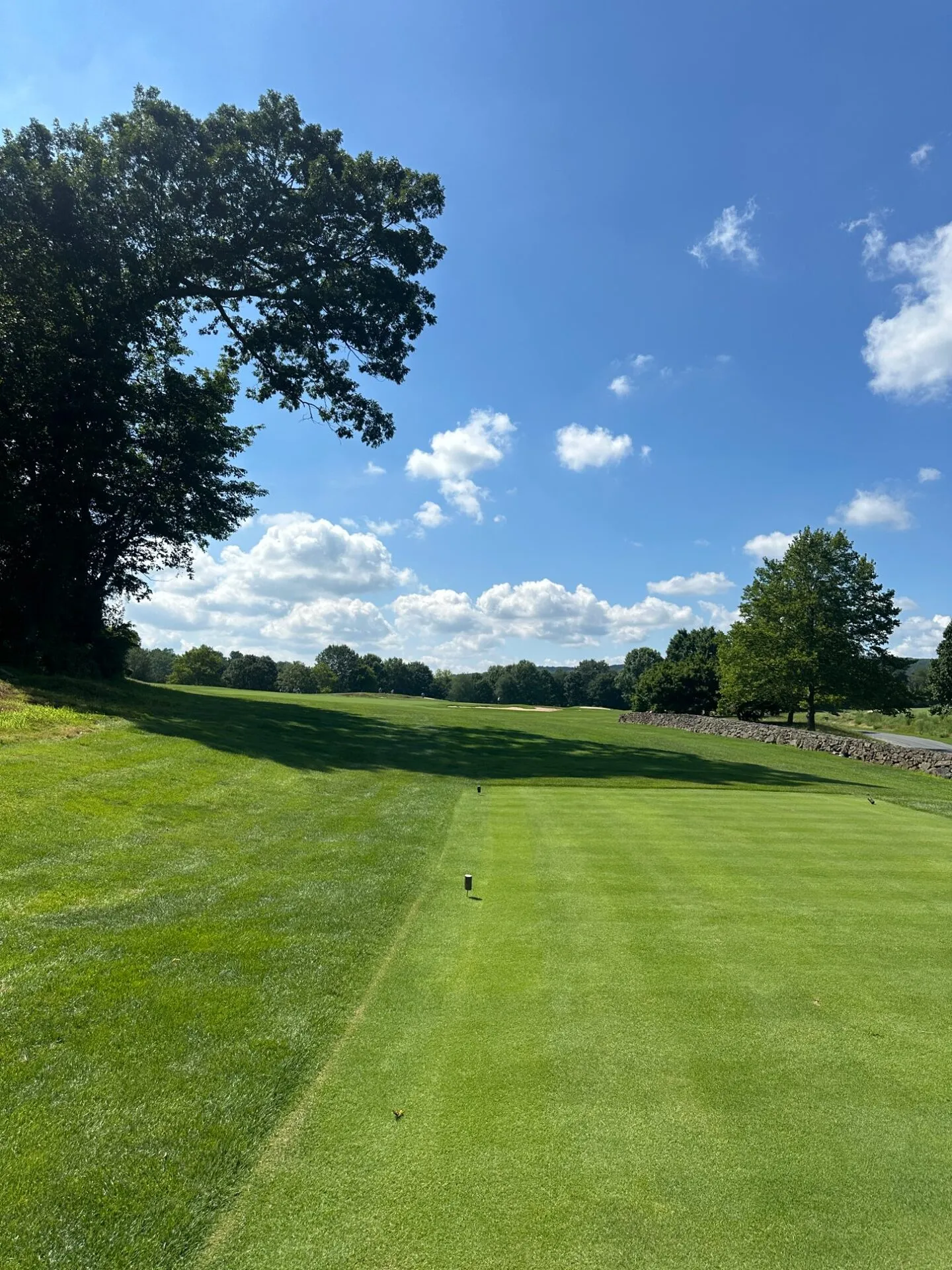 A tee box framed by a massive oak tree and the stone wall running along the right side of the fairway
