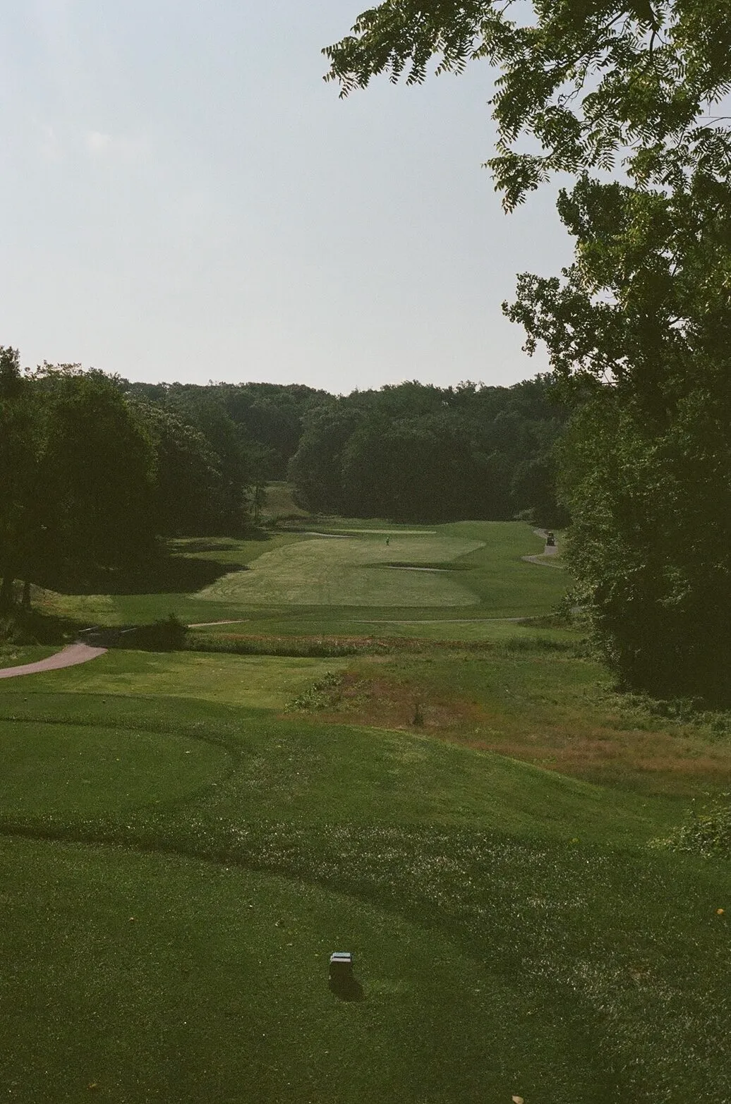 An elevated tee shot looking down into a valley, dramatic bunkering shaping the fairway with dense tree cover framing both sides